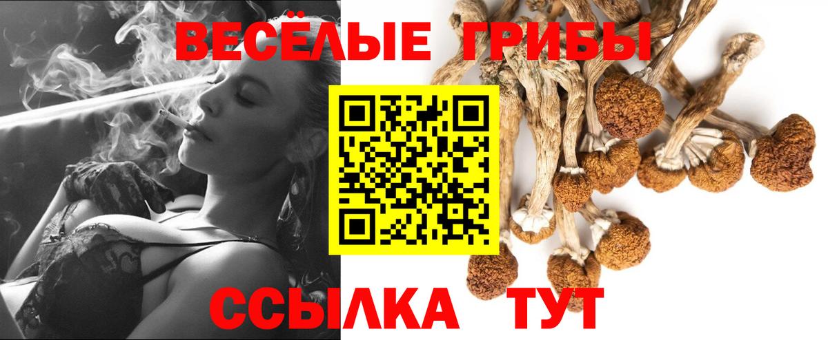 Галлюциногенные грибы Cubensis Павлово