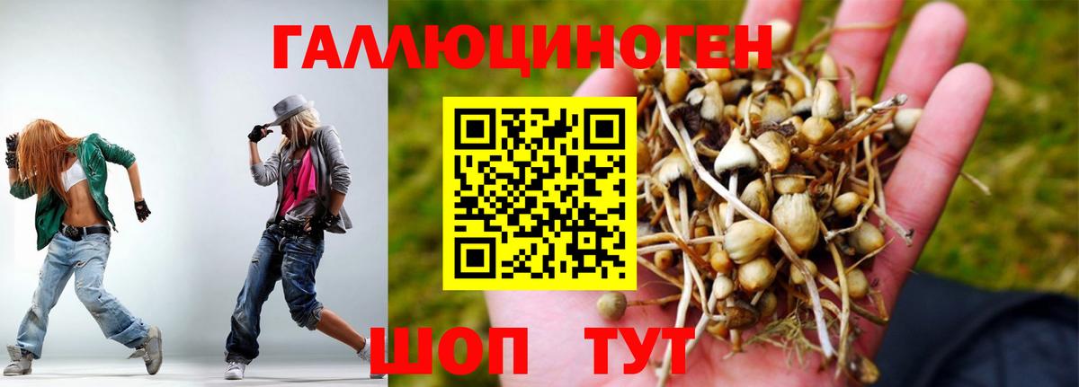 Псилоцибиновые грибы прущие грибы  Галлюциногенные грибы Cubensis  Вход с VPN  Павлово 